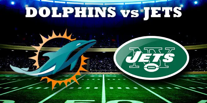 Image result for jets dolphins pics